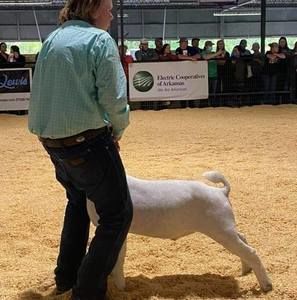 Meet your Posher, Becky